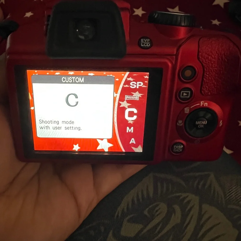 Fujifilm FinePix Camera